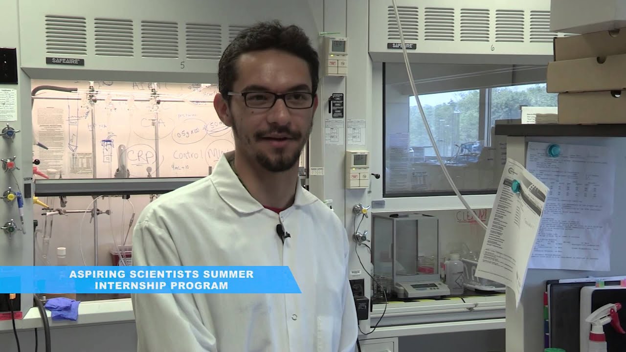 The Buzz Aspiring Scientists Summer Internship Program YouTube