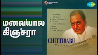 மனவ்யால கிஞ்சரா | Swararaga Sudha - Veena | Chittibabu Songs |