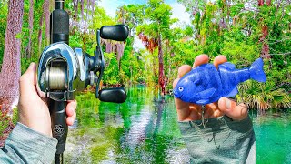 I Found An UNTOUCHED Clear Water LAGOON - It Was LOADED 