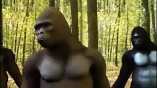 Chupapi Munyanyo Remix