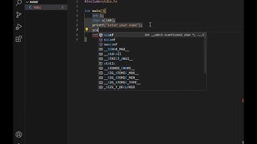 How to print your name 100 times in C language