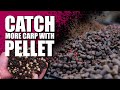 Catch more carp with these top pellet tips