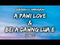 A pawi love  bei a dawng lua e lyrics  deborah vl hmangaihi