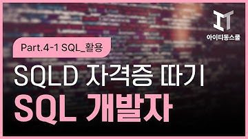 [HD]SQL 개발자 (SQLD) 자격증 따기 Part.4-1 SQL_활용