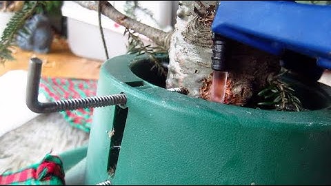 Water Christmas Tree While Away