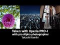 Taken With Xperia PRO-I - Explore the natural world by photographer Takashi Namiki