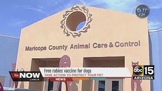 FREE rabies vaccine for dogs