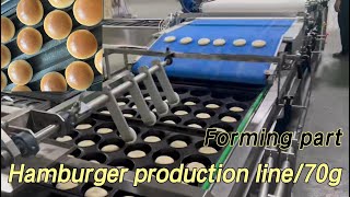 Easy Burger Buns Forming Line | 6 Buns from 70g Dough Balls
