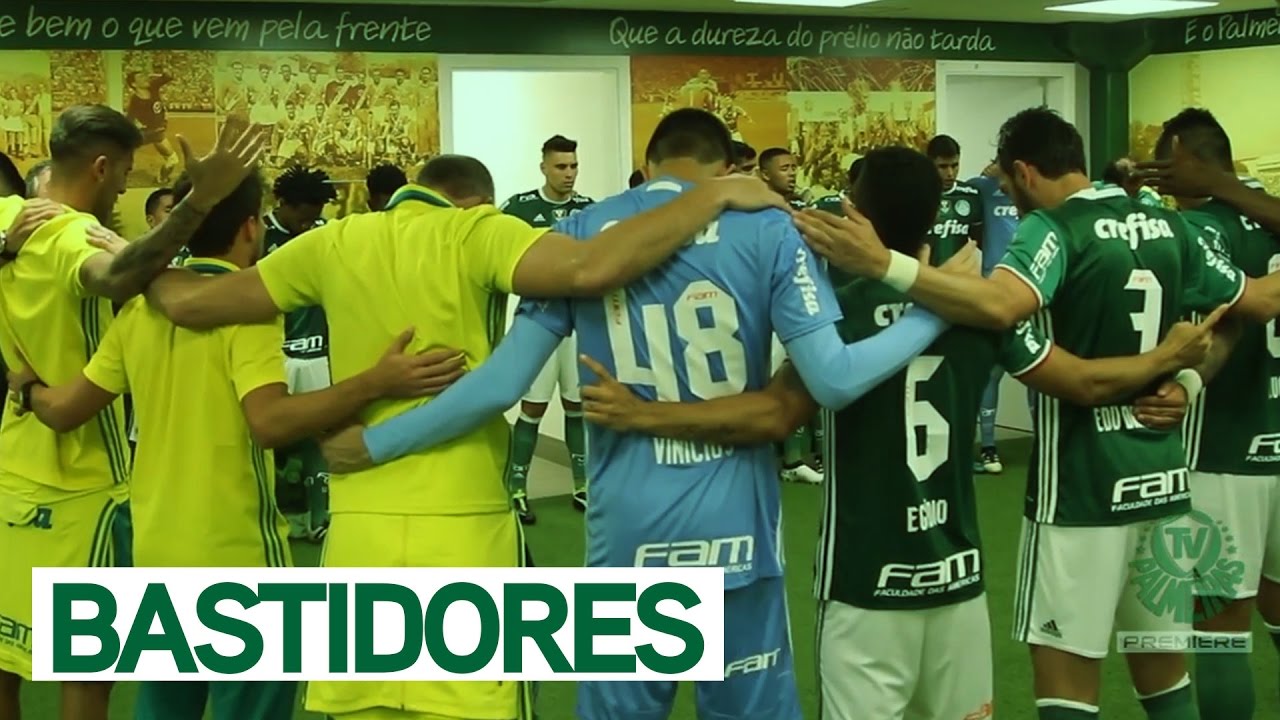 Palmeiras VK on X: Em 2016 tivemos pressão parecida com a do Botafogo, só  que ao invés de dar o vestiário para os atletas, os caras brigaram entre si  mas se fecharam