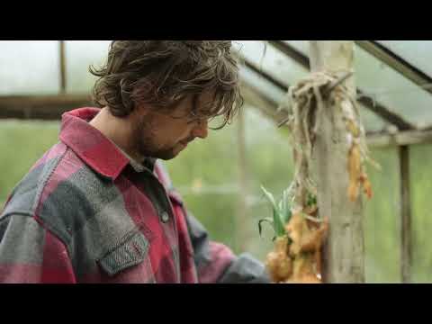 JULIUS ROBERTS SEASONAL RECIPE | Lamb Chops with Wild Garlic Butter & Spring Salad, for Pipers Farm