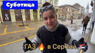 Чем согреться Сербской зимой и сколько это стоит⁉️ город Суботица | Сербия 2024 | Суботица | Сербия