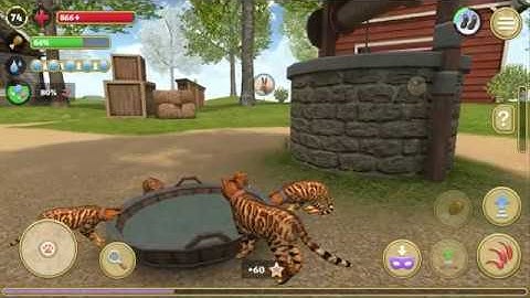 Cat Simulator 2020 #23 (Avelog) | Android Gameplay HD