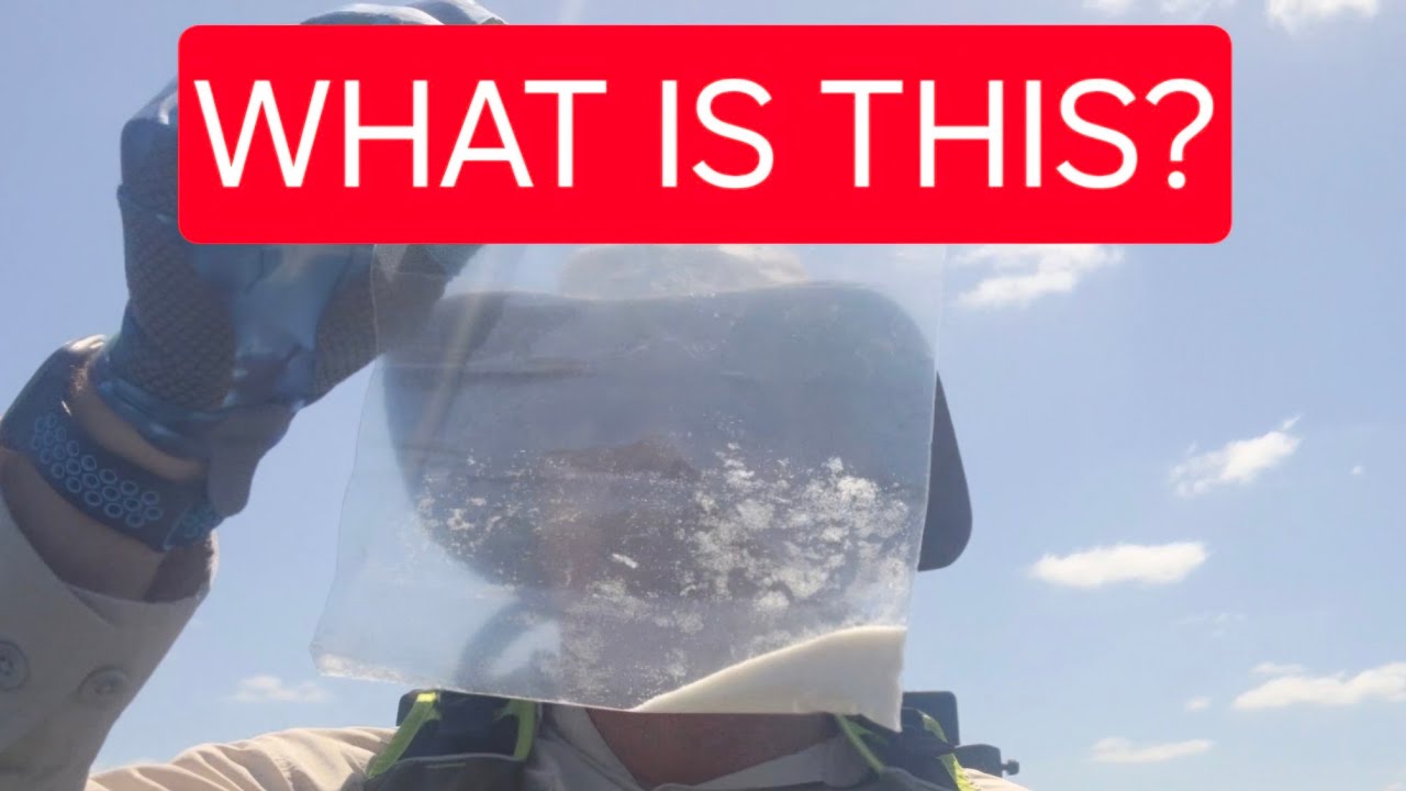 Fishing the Weeki Wachee