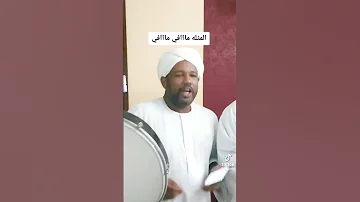 يا ليالي الساده عودي 