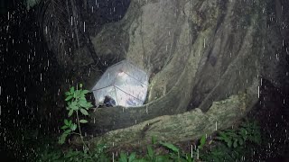 สร้างที่พักชั่วคราวกลางป่าดงดิบ ที่กำบังหลบฝน ใต้โคนต้นไม้ยักษ์ป่าลึกลับ โดนฝนถล่ม นอนหลับสบาย ep231