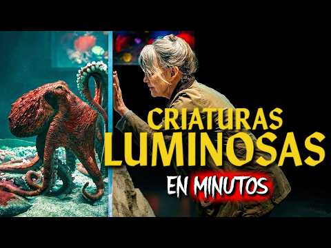 REMARKABLY BRIGHT CREATURES (2026) RECAP IN MINUTES