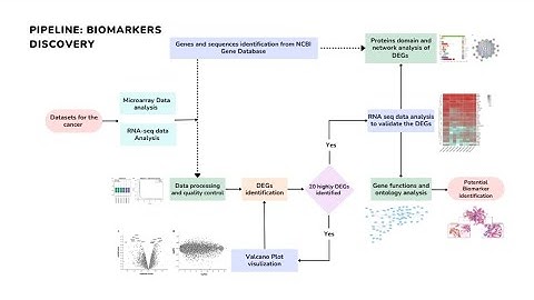 Master Biomarker Discovery with Bioinformatics | From Data to Insights