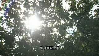 Guided Meditation, Chinese