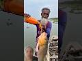 #fishing #pringruralfisherman #bigfish #fish