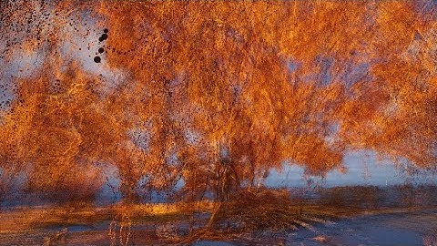 IN-DEPENDANCE #01 Anton Kusters - Waiting for our sight