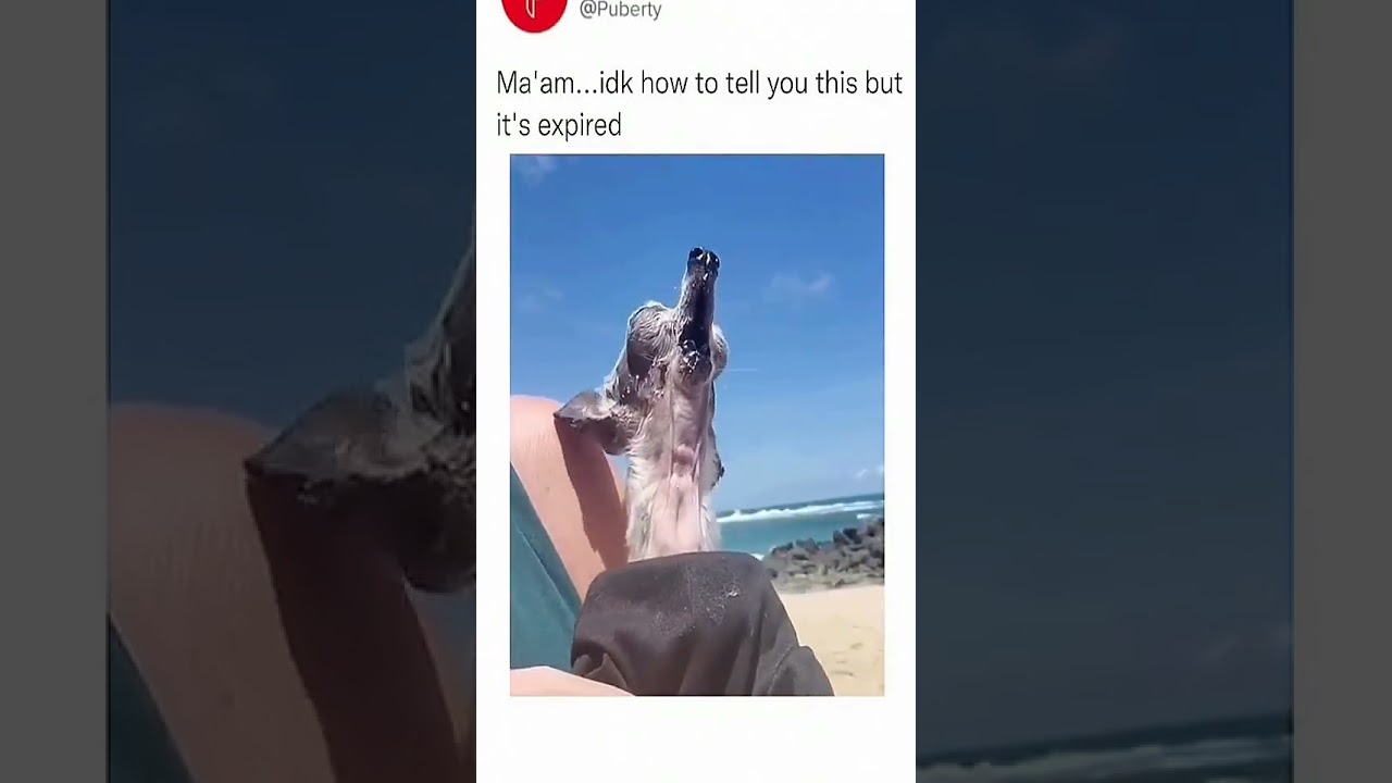 How to Make an Emotional SIDS Awareness Video | Heartwarming Tribute