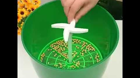 JOH Automatic Sprouter Machine