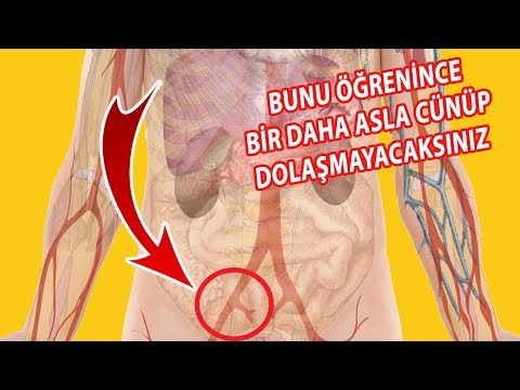 Cünüp Dolaşmak Neye Sebep Oluyor? Cenabet dolaşmak haram mı? ÖĞRENDİĞİNİZDE ASLA YAPMAYACAKSINIZ