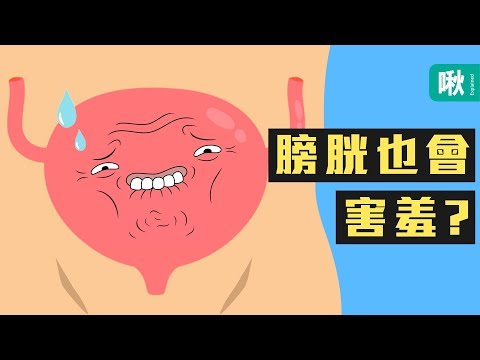 有人在旁邊就尿不出來? 認識「膀胱害羞症」!! | 一探啾竟 第72集 | 啾啾鞋