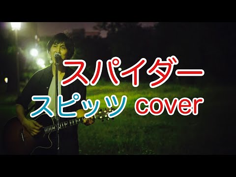 スパイダー　スピッツ（spitz）　カバー　浅井しんや