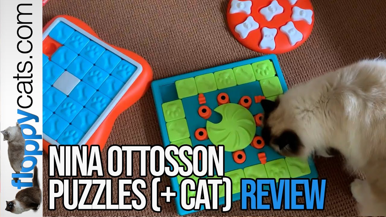 Should you buy a Level 4 dog puzzle? (Nina Ottosson MultiPuzzle product  review) 