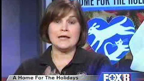 Katherine LeBlanc on WVUE Fox 8