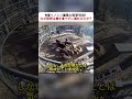 大型イノシシ捕獲の衝撃現場！ なぜ猟師は肉を食べずに埋めるのか？ #イノシシ捕獲 #猟師の秘密 #野生動物問題 #自然と共存 #捕獲の現場