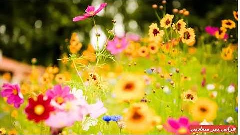 سورة الأنبياء بصوت عبد الرحمن السديس Surah Al - Anbiya with the voice of Abdul Rahman Al - Sudais