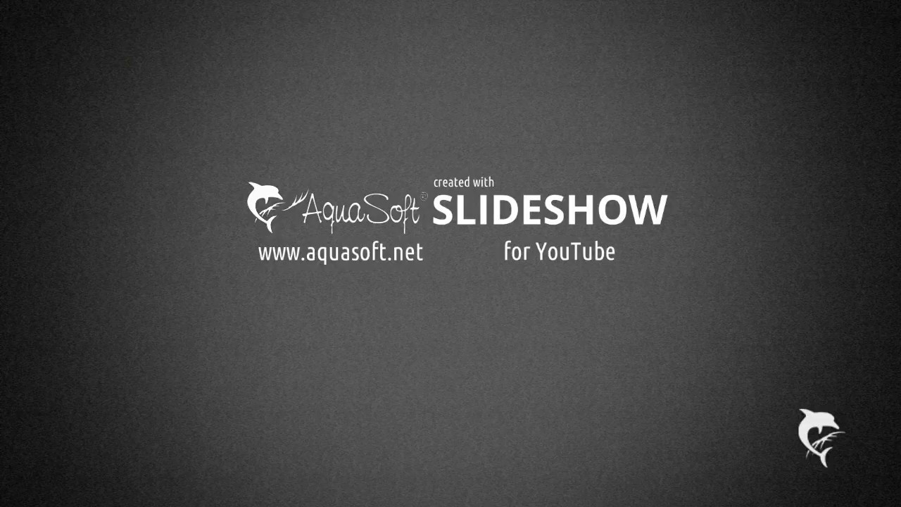 WORK FROM HOME WITH BELLA HOOT