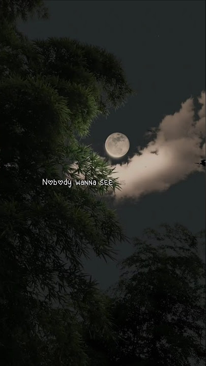 ~ Don't Matter 🍁 || AKON ♠️ || WhatsApp Status 🦋 || Lyrics Edit 💖 •|| #sad