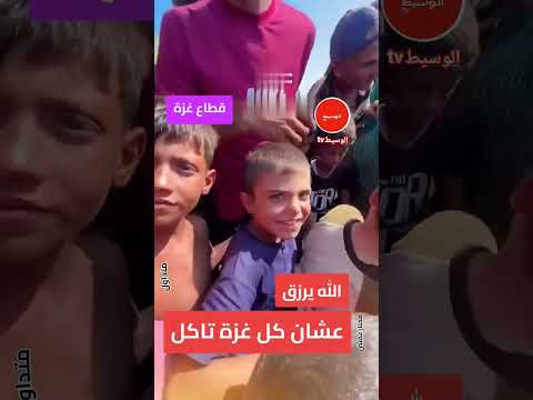 اللحم الذي لم يتذوقه مئات الآلاف من أهالي غزة منذ سنة بطول عشرة أمتار ووزن طن ين وصل القرش
