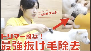 【トリマー推奨商品】換毛期の犬の抜け毛対策におすすめ商品！素早く大量の抜け毛除去ができます！