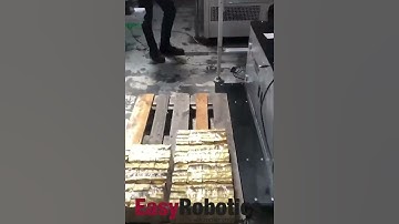 Easy Palletizer - the compact robotic palletizer machine