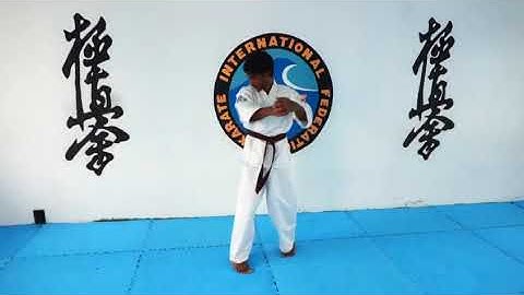 3rd Kyu Syllabus. IFK Kyokushin Syllabus. Mauritius Branch