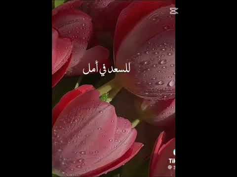 Wedding Nasheed Fpyviralシ Viralshorts Subscribe Love Channel Makkah Quotes Quran Sabiha