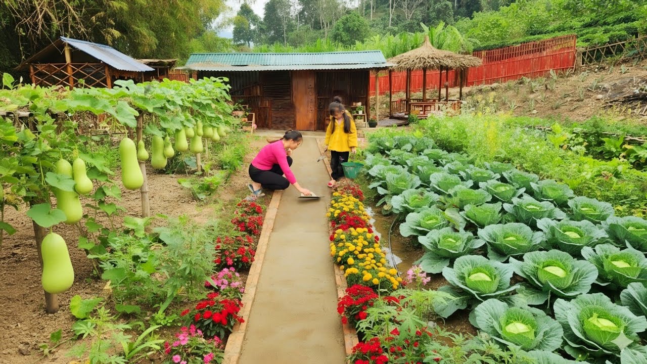 Use red bricks and cement to build a long road to Thanh Ca's bamboo house.