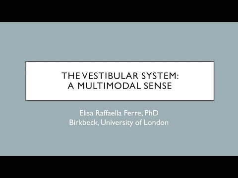 The vestibular system: a multimodal sense recording thumbnail