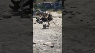 s759 Simulate amazing survival skills , #shorts