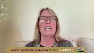 Animal Communicator Academy student Lulu Kellogg finds lost cat and helps cats on cross country trip by Dr Cara Gubbins 687 views 7 months ago 3 minutes, 46 seconds