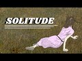 On Solitude Michel De Montaigne Essays 