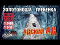 Направление Золотоноша - Гребенка или Адский АД |обзор дороги Т-2410|