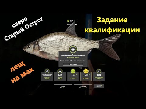 Русская рыбалка 4 - озеро Старый Острог - Лещ: Задание квалификации мах 3-2