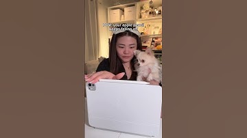 Best apple pencil pro accessory ✍🏻