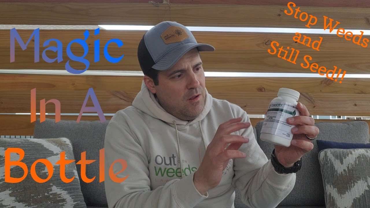 Уничтожьте сорняки еще до их появления: весенняя обработка до появления всходов