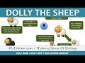 Cloning and Genetic Engineering Quiz